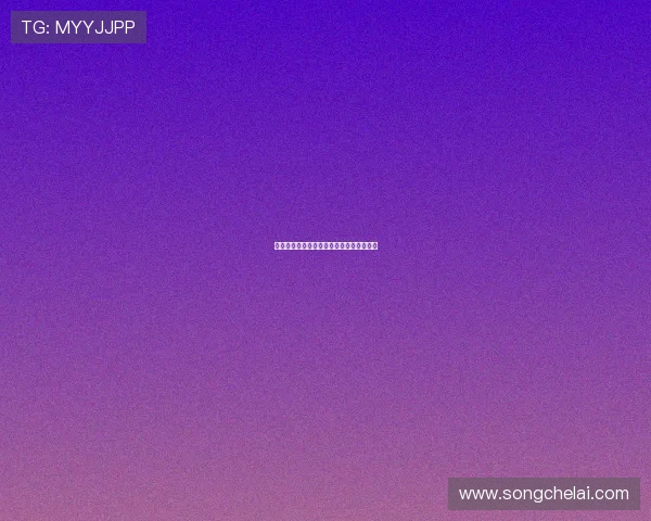 开云国际站的全面介绍与最新发展动态解析