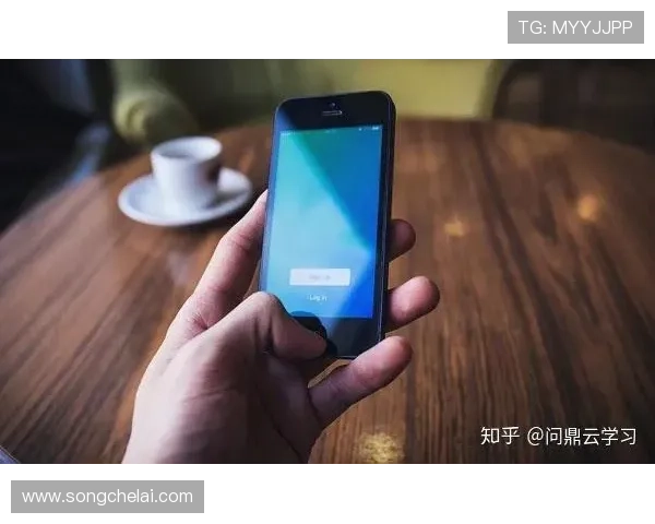 问鼎平台官网入口详细解析及常见问题解决方案推荐