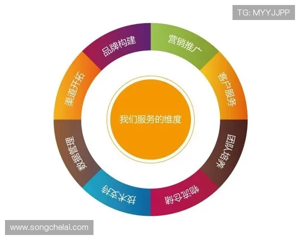 问鼎旗下娱乐平台的品牌建设与市场推广策略探讨