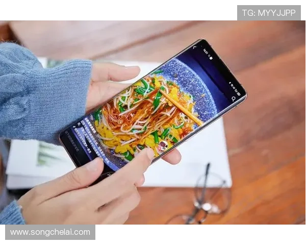 问鼎旗舰网站：采用最新技术打造用户体验最佳的行业领导者