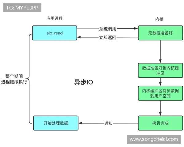问鼎官网入口注册流程详细解析，帮助新用户顺利完成账号创建与激活步骤